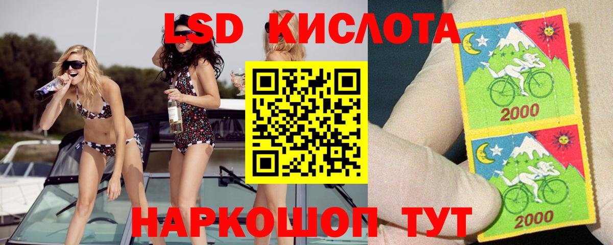 omg как войти  Вход с VPN  Камышлов  Лсд 25 экстази ecstasy 