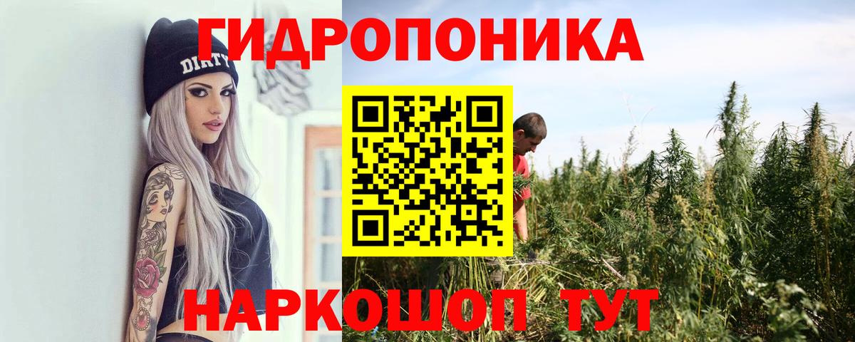 Каннабис MAZAR  Конопля планчик  Камышлов  Бошки Шишки Ganja  Шишки марихуана план 